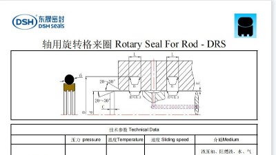 軸用旋轉密封-旋轉格萊圈DRS解決方案