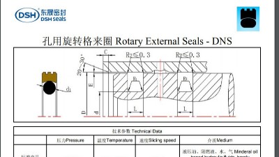 孔用旋轉格來圈DNS規格尺寸表