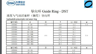 液壓與氣動活塞桿（軸用）導向環