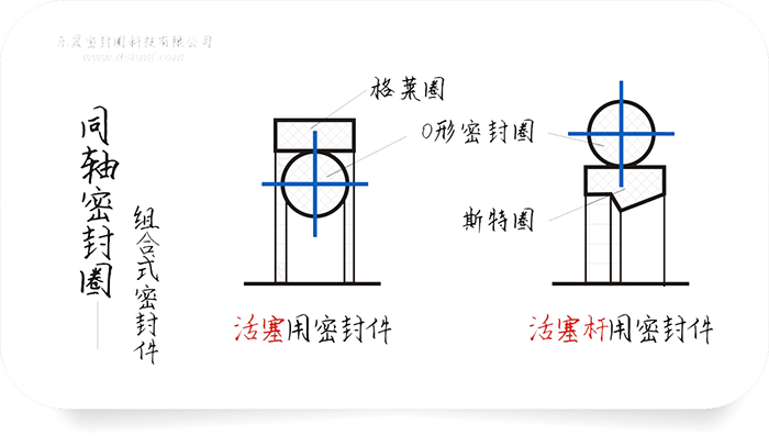 同軸組合密封件圈截面結構平面圖（圖1-1）4