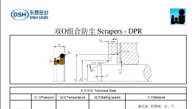 雙O組合防塵圈DPR規格尺寸表