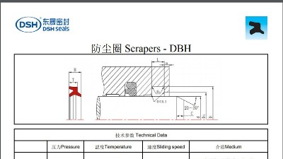 防塵圈DBH規格尺寸表