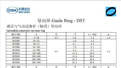 新版導向環DST規格尺寸