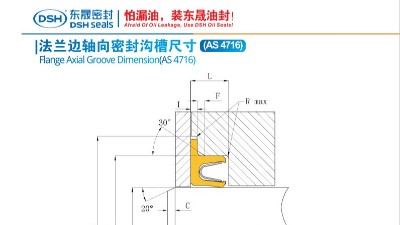 軸向密封溝槽尺寸1