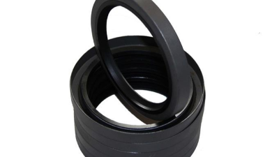 旋轉密封件（Rotary Shaft Seal）1