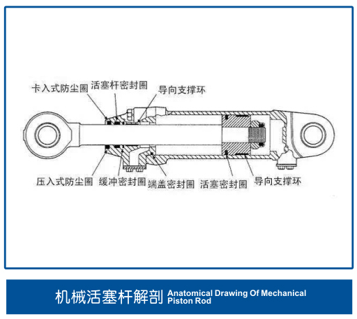 活塞密封圈解剖