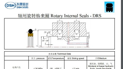 軸用旋轉格來圈規格尺寸表DRS