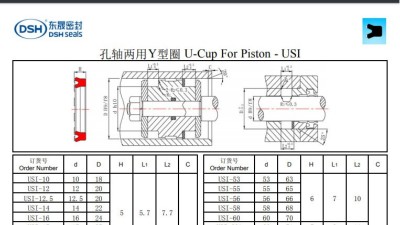 孔軸兩用Y型圈USI規格尺寸表