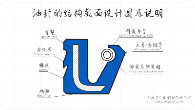 油封的結構截面設計圖及說明1