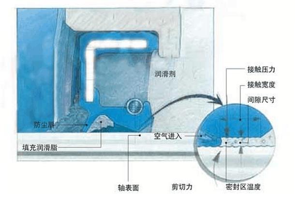 油封（密封件密封圈）密封唇口與旋轉軸表面接觸區4