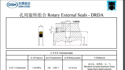 孔用旋轉組合密封圈規格尺寸DRDA