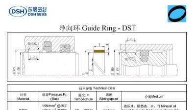 新版導向環DST規格尺寸表