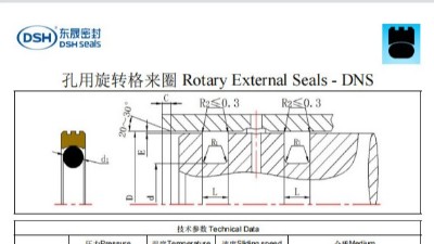 新版孔用旋轉格來圈DNS規格尺寸表