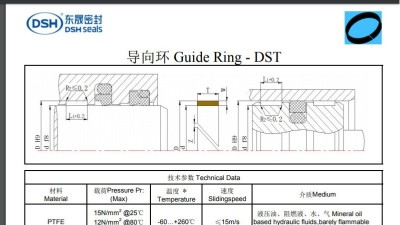 DST導向環規格尺寸表