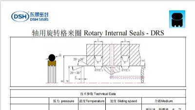 新版軸用旋轉格來圈DRS規格尺寸表