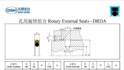 新版孔用旋轉組合密封圈DRDA規格尺寸表