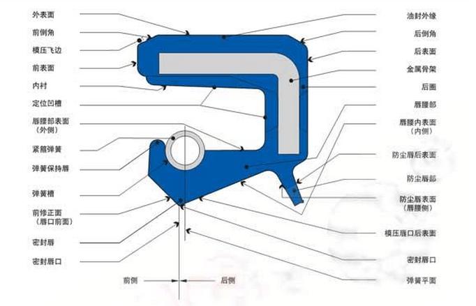 內包骨架油封各部位主要名稱和術語圖