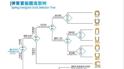 泛塞封唇型密封圈彈簧蓄能圈選型