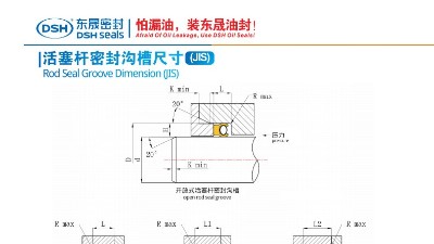 活塞桿密封溝槽尺寸1