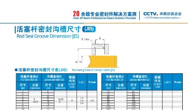 活塞桿密封溝槽尺寸2