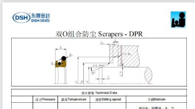 新版雙O組合防塵密封圈DPR規格尺寸表