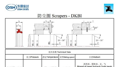 新版防塵圈DKBI規格尺寸表